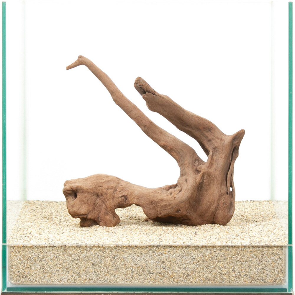 一点物　上質流木　雅　30cm水槽用　880452　関東当日便