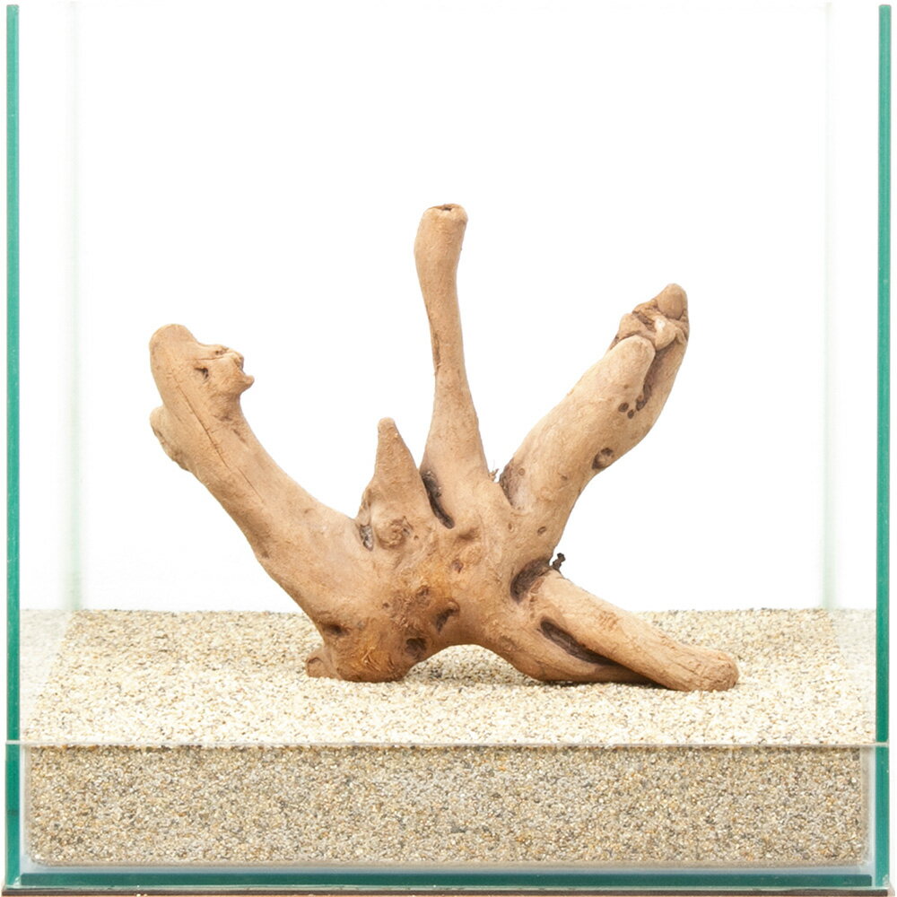 一点物　上質流木　雅　30cm水槽用　880460　関東当日便