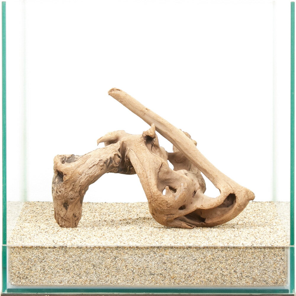 一点物　上質流木　雅　30cm水槽用　880463　関東当日便