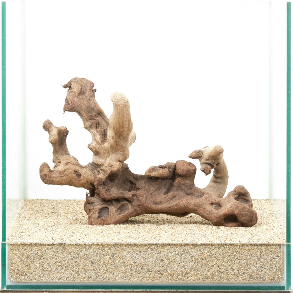 一点物　上質流木　雅　30cm水槽用　880465　関東当日便