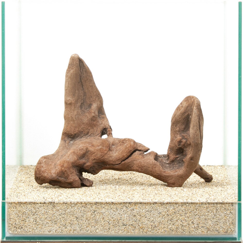 一点物　上質流木　雅　30cm水槽用　880466　関東当日便