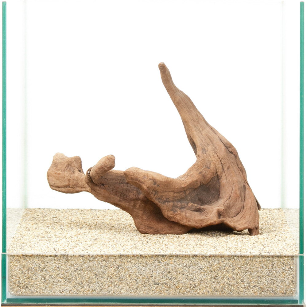 一点物　上質流木　雅　30cm水槽用　880473　関東当日便