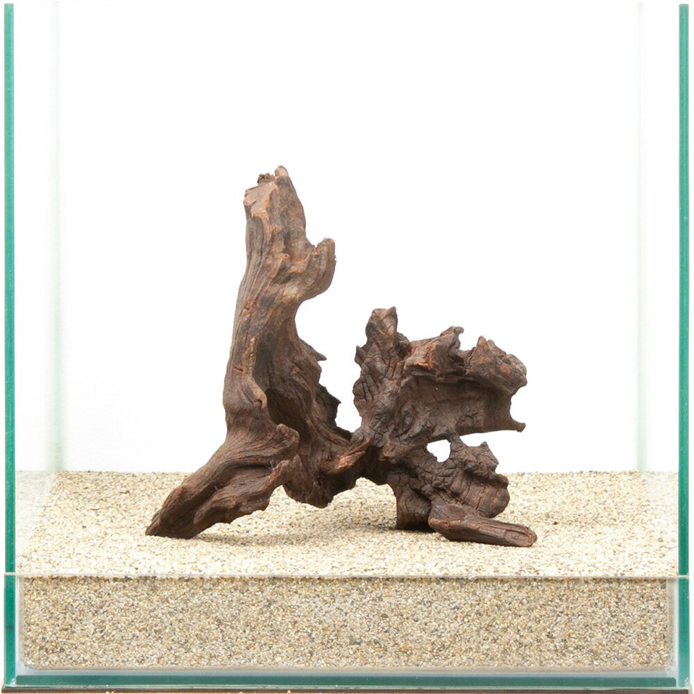 天然一点物】 流木 楽天市場】流木 一点物の通販