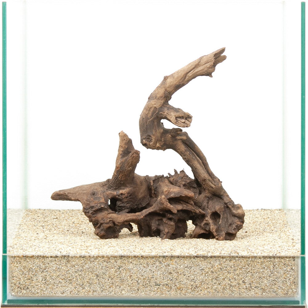 一点物 上質ドリフトウッド 30cm水槽用 880489 関東当日便