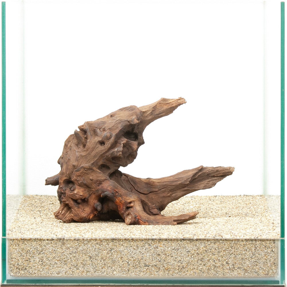 一点物　上質ドリフトウッド　30cm水槽用　880491　関東当日便