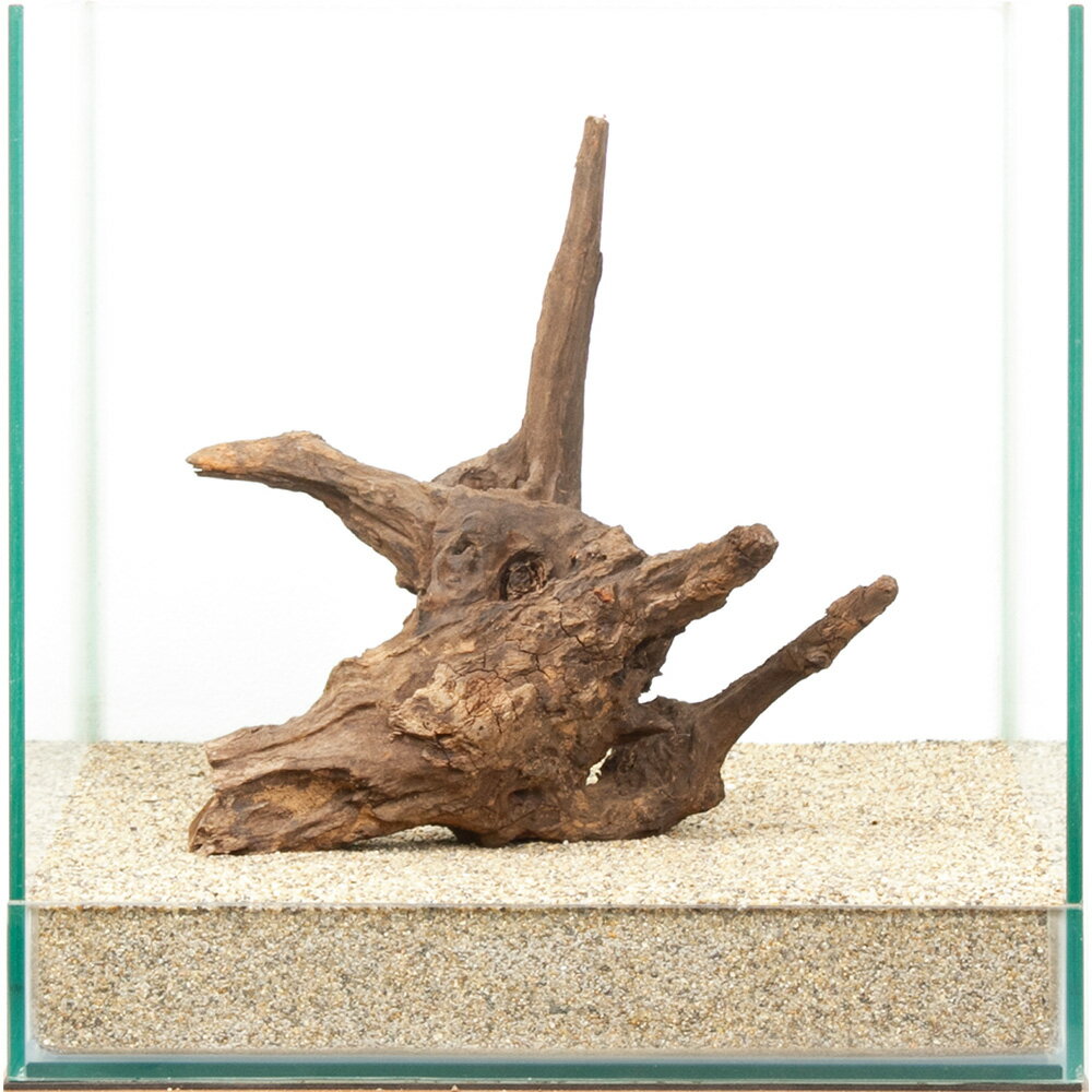 一点物　ドリフトウッド　30cm水槽用　880492　関東当日便