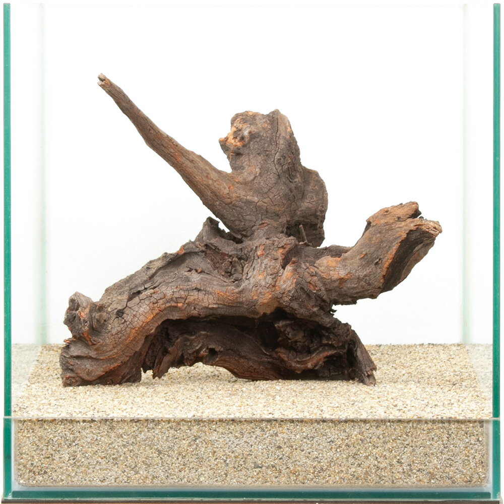 一点物　ドリフトウッド　30cm水槽用　880497　関東当日便