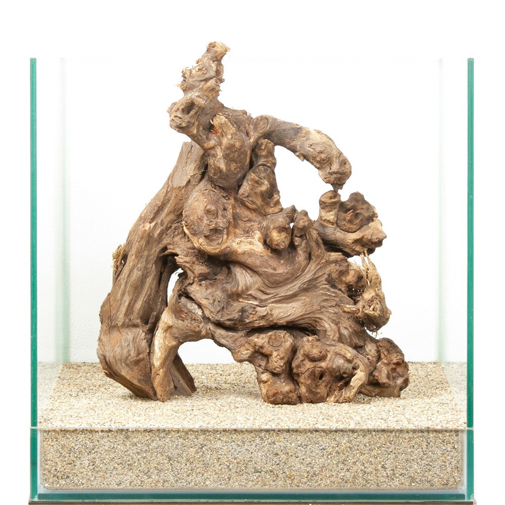 楽天市場】流木 一点物の通販