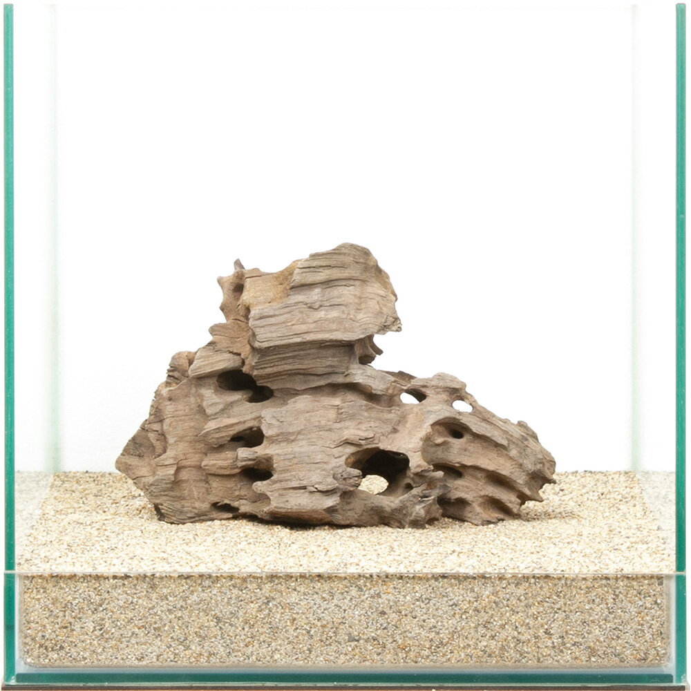 一点物 ハニカムウッド 30cm水槽用 880524 関東当日便