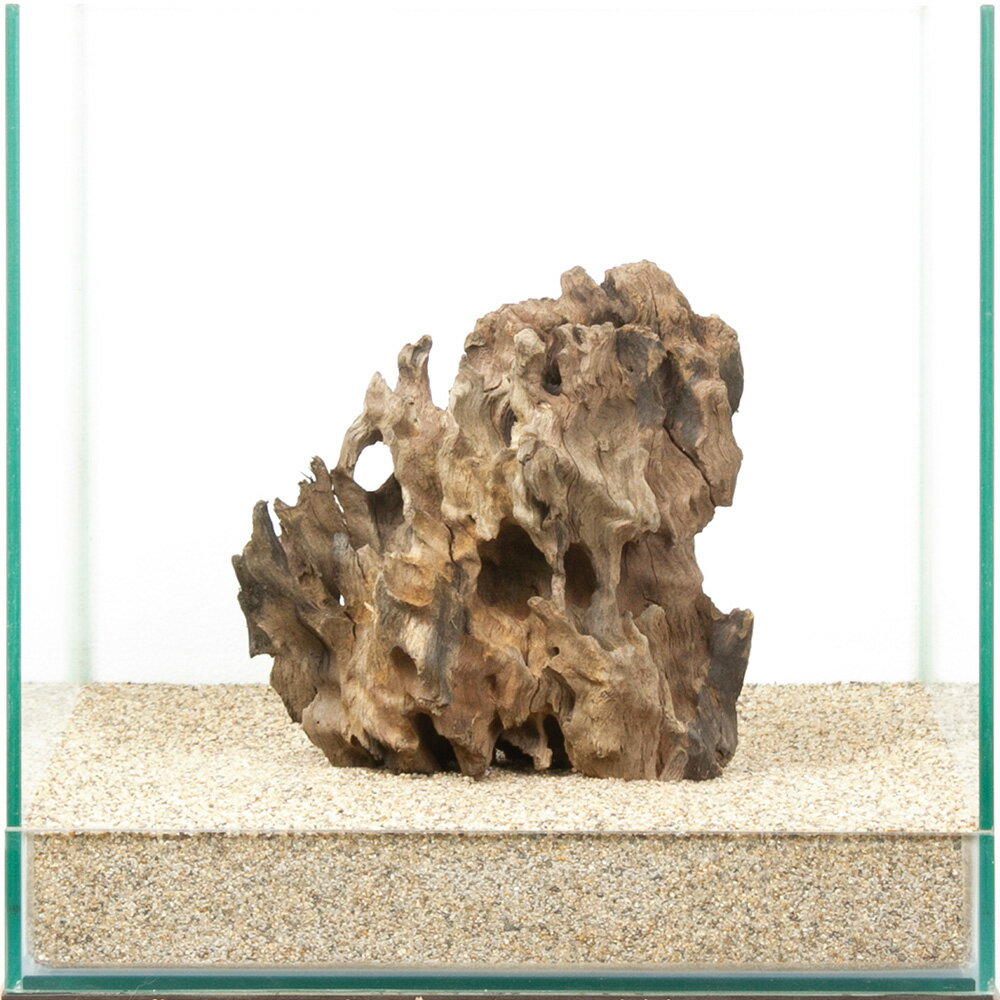 一点物 ハニカムウッド 30cm水槽用 880528 関東当日便