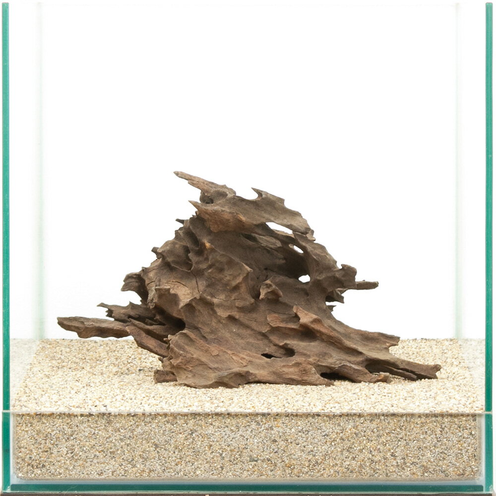 一点物 ハニカムウッド 30cm水槽用 880529 関東当日便