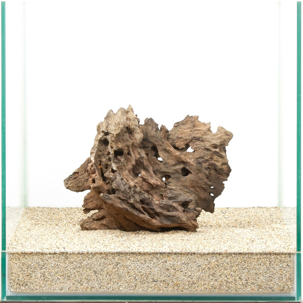 一点物 ハニカムウッド 30cm水槽用 880530 関東当日便