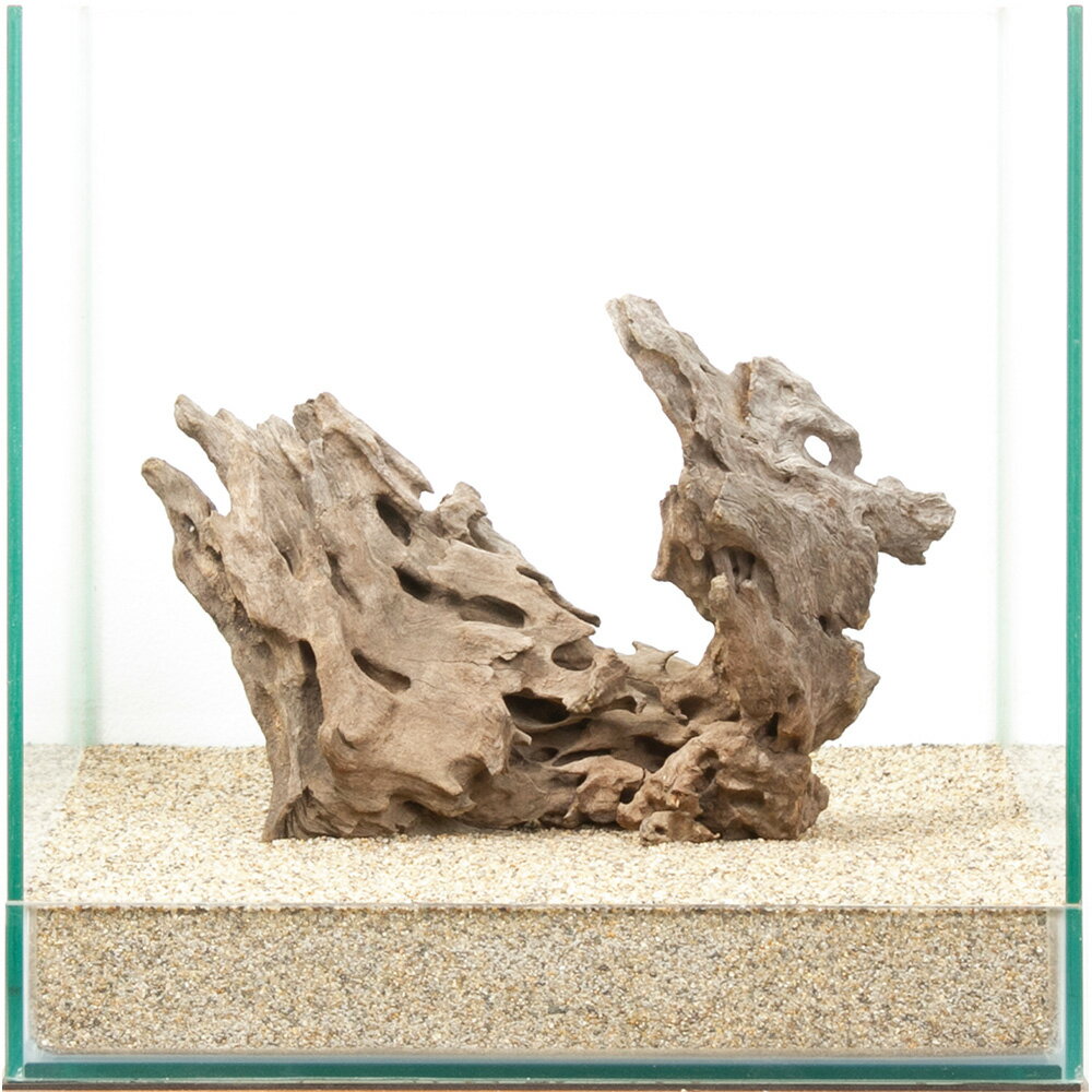 一点物 ハニカムウッド 30cm水槽用 880534 関東当日便