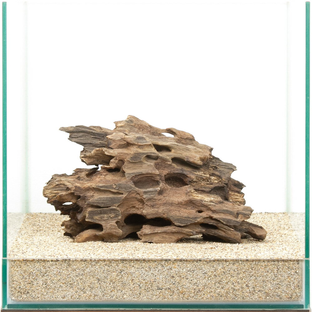 一点物 ハニカムウッド 30cm水槽用 880535 関東当日便