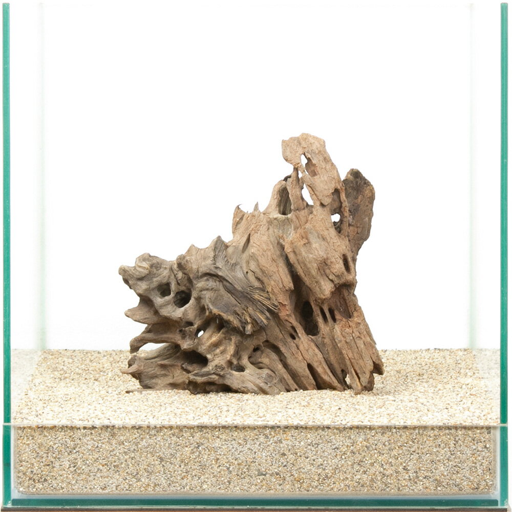 一点物 ハニカムウッド 30cm水槽用 880536 関東当日便