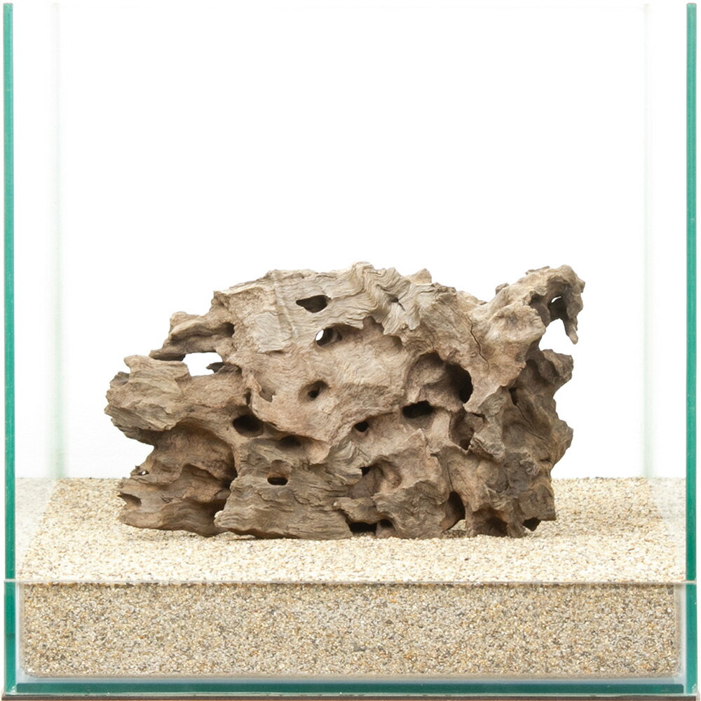 一点物 ハニカムウッド 30cm水槽用 880537 関東当日便