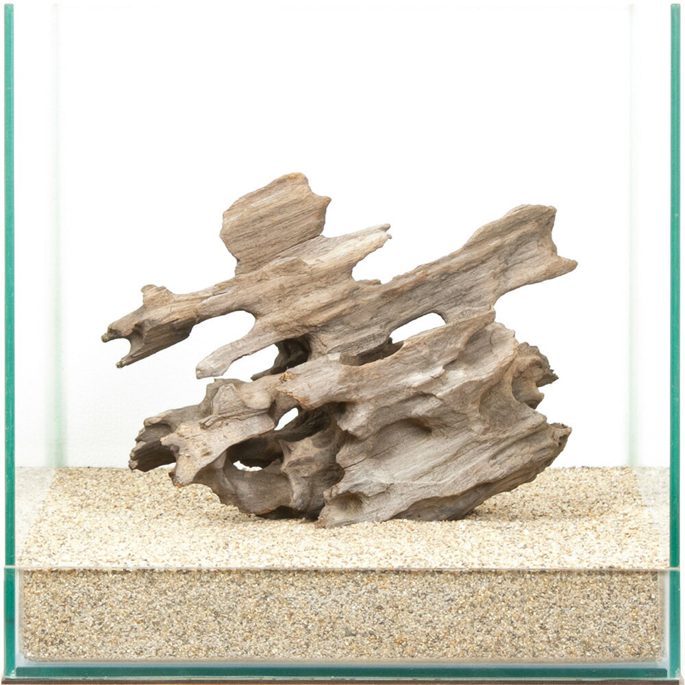 一点物 ハニカムウッド 30cm水槽用 880539 関東当日便