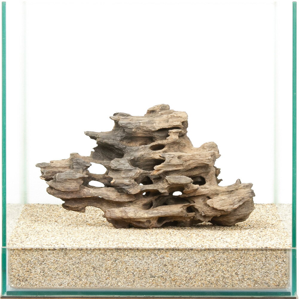 一点物 ハニカムウッド 30cm水槽用 880540 関東当日便