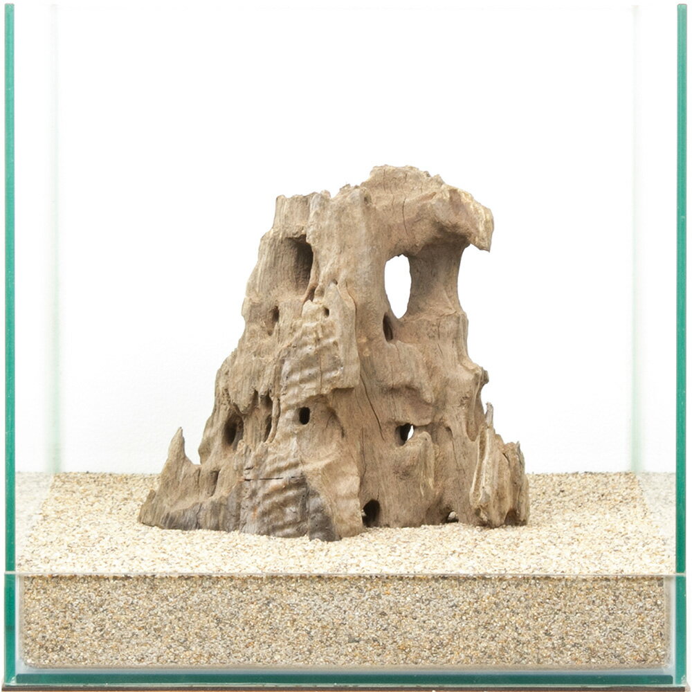 一点物 ハニカムウッド 30cm水槽用 880542 関東当日便