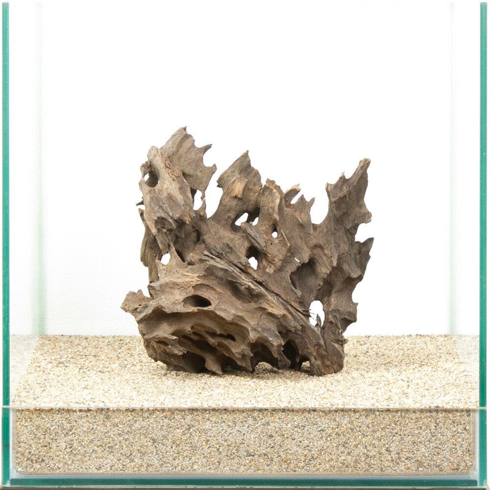 一点物 ハニカムウッド 30cm水槽用 880543 関東当日便