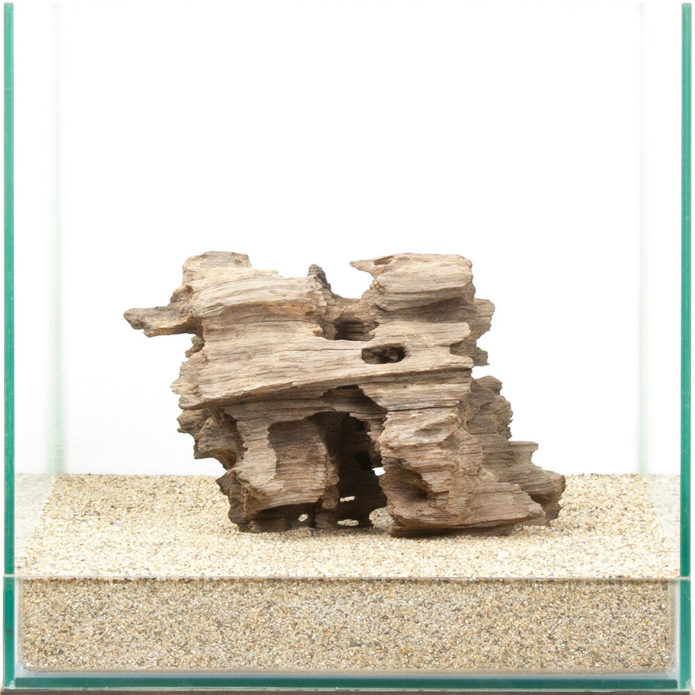 一点物 ハニカムウッド 30cm水槽用 880546 関東当日便