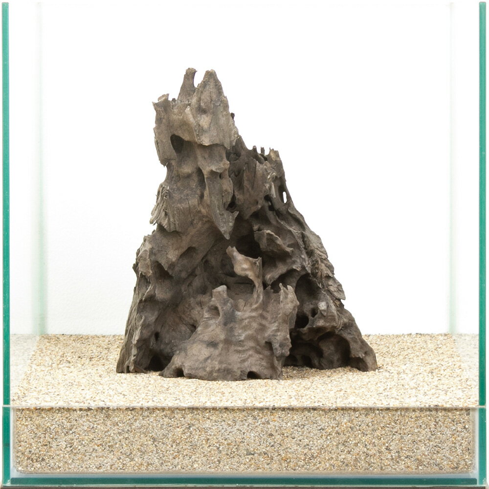 一点物　ハニカムウッド　30cm水槽用　880549　関東当日便