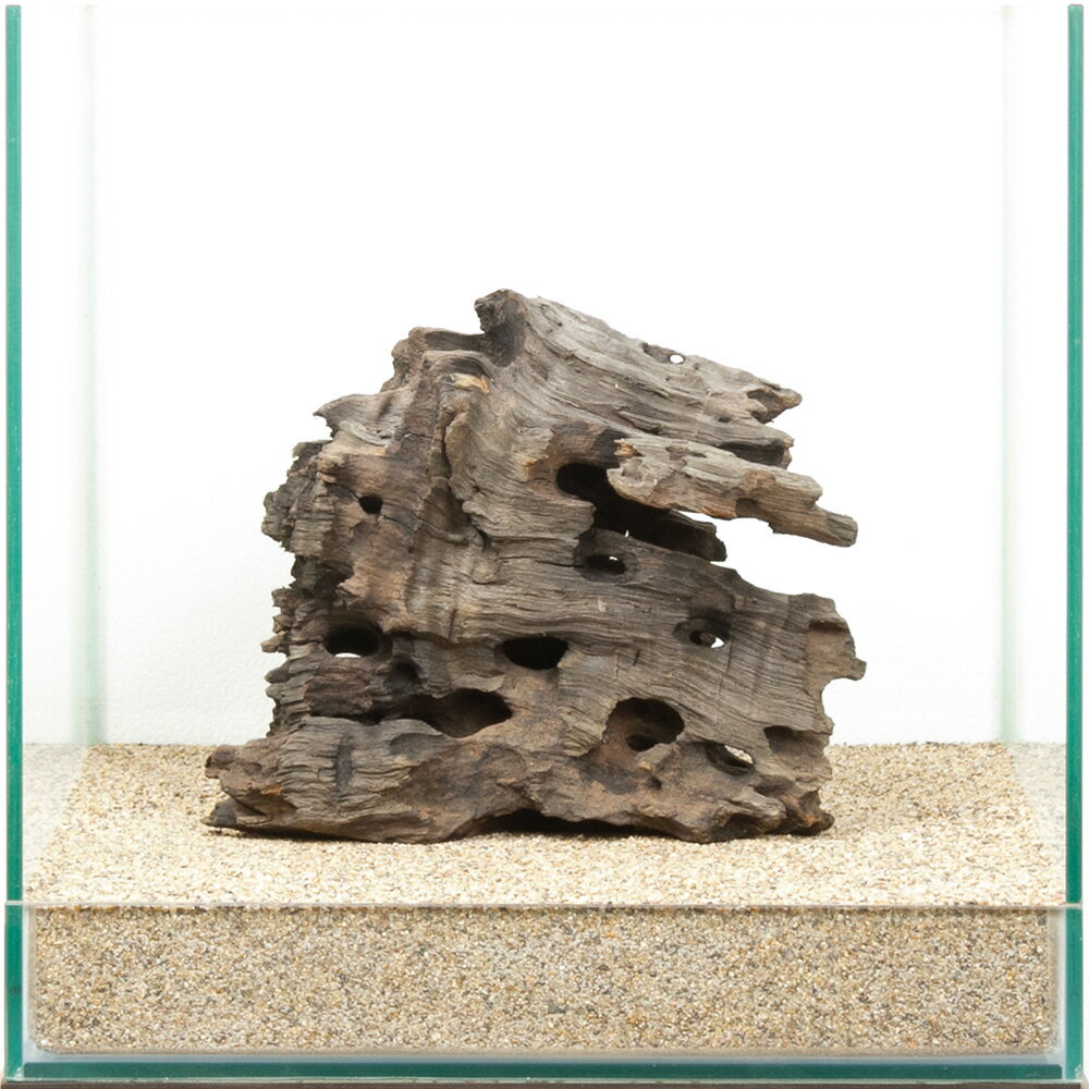 一点物 ハニカムウッド 30cm水槽用 880553 関東当日便