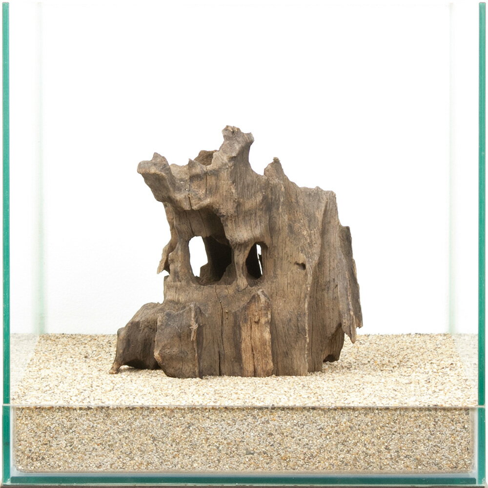 一点物　ハニカムウッド　30cm水槽用　880554　関東当日便