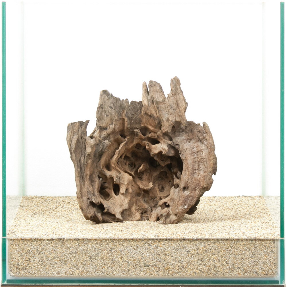 一点物　ハニカムウッド　30cm水槽用　880561　関東当日便