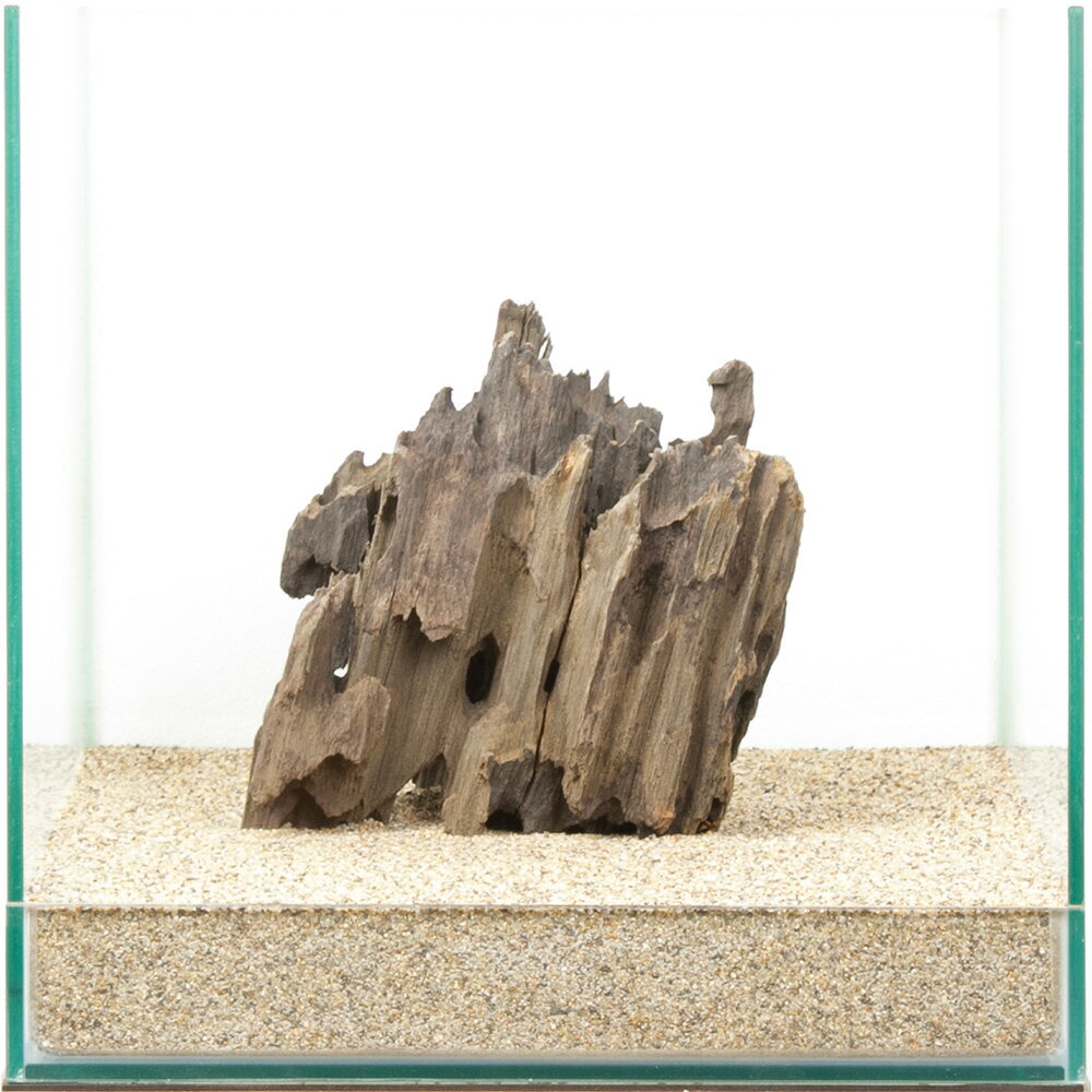 一点物　ハニカムウッド　30cm水槽用　880566　関東当日便