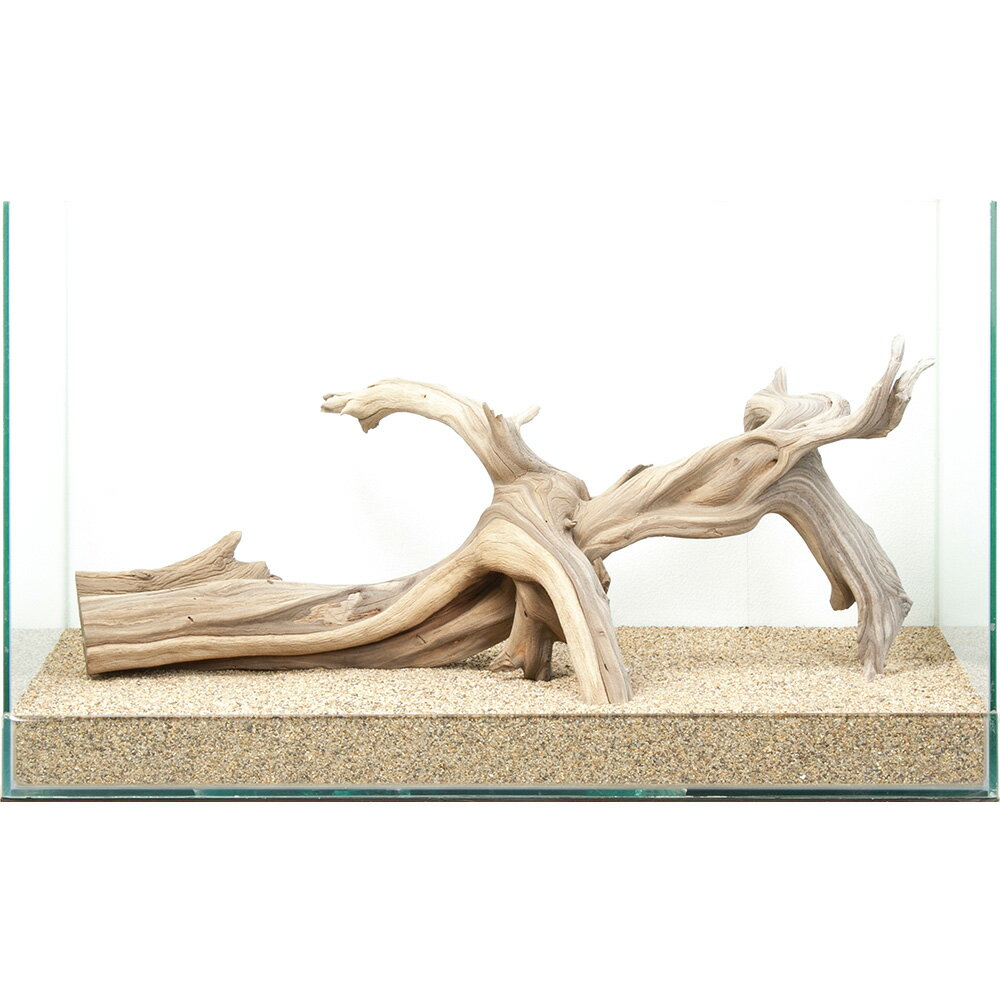 ����ʪ���������ȥ��åɡ�60cm�����ѡ�880628������������