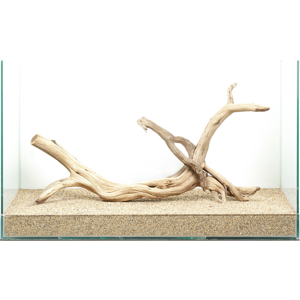 メーカー：レイアウト素材選び抜かれた「ゴーストウッド」。この形状は世界に一つ。一点物　ゴーストウッド　60cm水槽用特長●数多の「ゴーストウッド」の中より厳選された、60cmクラス以上の水槽におすすめの選りすぐりの流木単体です。●掲載画像の形状の流木をお届けいたします。「これだ！」と思った流木をお選びください。●別売の同シリーズや他の流木、石と組み合わせて用いても素敵なレイアウトを演出できます。●アヌビアス、ミクロソリウムなどの活着性水草や、ウィローモスを巻き付ける活着用素材としても最適です。●単体でも、他の素材と組み合わせても、レイアウトの幅は広がります。思い思いのオリジナルレイアウトをお楽しみください。数量1個サイズ（約）水槽サイズ：幅60×奥行30×高さ36cm ※流木を入れている水槽のサイズとなります。ご注意※撮影用の底床は田砂を使用しております。※お使いの底床によっては写真同様にセットできない場合があります。※場合によって流木、石を砂に埋めて立たせて撮影しています。※よく水洗いしてからご使用ください。※水槽内では（水に濡らすと）黒みの強い流木ですが、乾燥状態ではグレー系の色合いとなります。予めご了承ください。※本品は煮出し済みですが、アクが出ないことを保証するものではありません。気になる場合は活性炭などを併用して、対処をお願いいたします。※お届け時に多少の折れが見られる場合がございます。予めご了承ください。●この流木は【当店で煮込み済み】です。●半日〜1日煮込んでアク抜き作業および殺菌を施しておりますが、水槽投入後、流木自体の色素が出てしまう場合もございます。●流木からの色素は生体への影響がないとされておりますが、気になる場合は、活性炭等を使用して色味を除去するか換水を行ってください。（水草）アヌビアスナナ（水上葉）（1ポット分）（水草）おまかせミクロソリウム　1種（1ポット分）（水草）ウィローモス（水中葉）（無農薬）（1カップ）モスライン　1．5g（約50m）　モスカラー（深緑）　植物活着用ナイロン糸モスライン　1．5g（約50m）　流木カラー（こげ茶）　植物活着用ナイロン糸キョーリン　高性能活性炭　ひかりウェーブ　ブラックホール　お一人様30点限り形状お任せ　風山石　サイズミックス　20kg　大型水槽向け　アクアリウム　レイアウト素材2個口発送　形状お任せ　風山石　サイズミックス　40kg　国産品　大型水槽向け　アクアリウム　レイアウト素材 … 流木／石　流木　60cm水槽用　流木・石　一点物　ゴーストウッド　600　ブラック　アクアリウム　1点物　レイアウト素材　アクアリウム用品　テラリウム　アクアテラリウム　パルダリウム　熱帯魚　水草　水草レイアウト　20260127　26m01 q10_hidden■この商品をお買い上げのお客様は、下記商品もお買い上げです。※この商品には付属しません。■（水草）アヌビアスナナ（水上葉）（1ポット分）（水草）おまかせミクロソリウム　1種（1ポット分）（水草）ウィローモス（水中葉）（無農薬）（1カップ）モスライン　1．5g（約50m）　モスカラー（深緑）　植物活着用ナイロン糸モスライン　1．5g（約50m）　流木カラー（こげ茶）　植物活着用ナイロン糸キョーリン　高性能活性炭　ひかりウェーブ　ブラックホール　お一人様30点限り形状お任せ　風山石　サイズミックス　20kg　大型水槽向け　アクアリウム　レイアウト素材2個口発送　形状お任せ　風山石　サイズミックス　40kg　国産品　大型水槽向け　アクアリウム　レイアウト素材