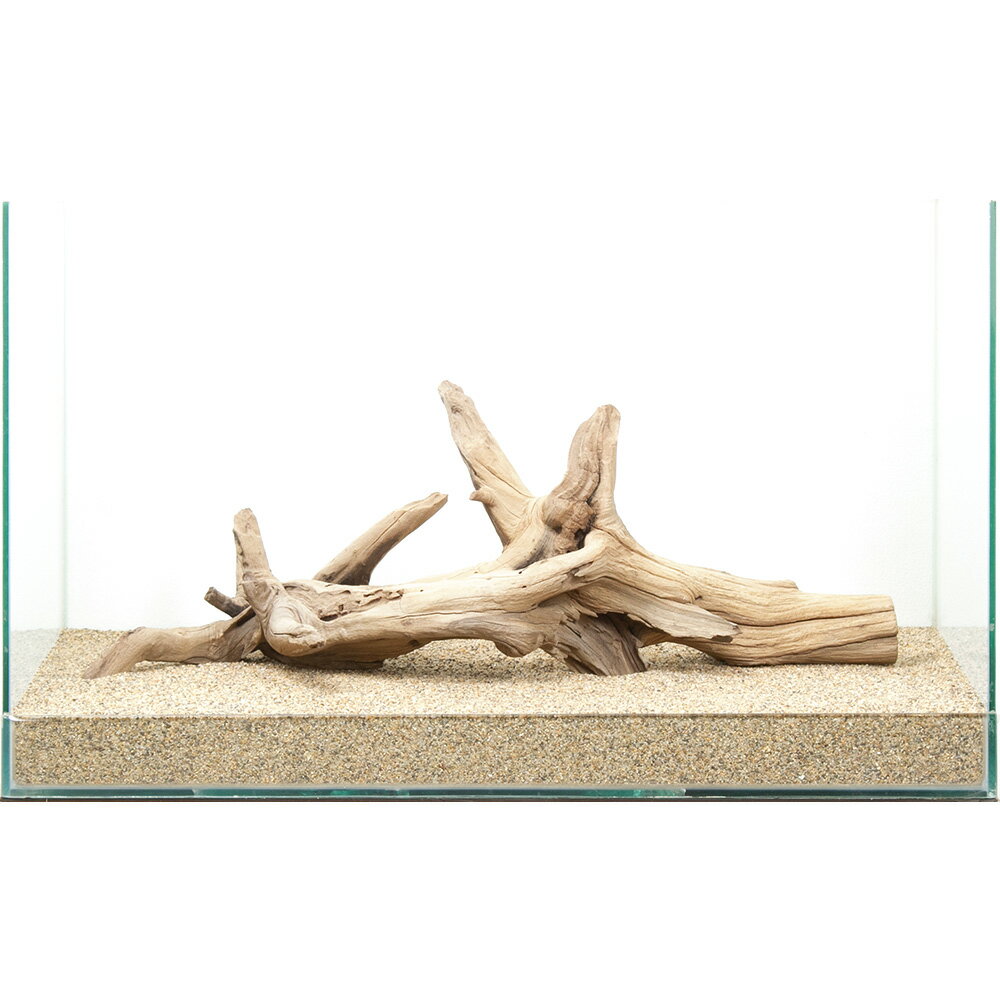 メーカー：レイアウト素材選び抜かれた「ゴーストウッド」。この形状は世界に一つ。一点物　ゴーストウッド　60cm水槽用特長●数多の「ゴーストウッド」の中より厳選された、60cmクラス以上の水槽におすすめの選りすぐりの流木単体です。●掲載画像の形状の流木をお届けいたします。「これだ！」と思った流木をお選びください。●別売の同シリーズや他の流木、石と組み合わせて用いても素敵なレイアウトを演出できます。●アヌビアス、ミクロソリウムなどの活着性水草や、ウィローモスを巻き付ける活着用素材としても最適です。●単体でも、他の素材と組み合わせても、レイアウトの幅は広がります。思い思いのオリジナルレイアウトをお楽しみください。数量1個サイズ（約）水槽サイズ：幅60×奥行30×高さ36cm ※流木を入れている水槽のサイズとなります。ご注意※撮影用の底床は田砂を使用しております。※お使いの底床によっては写真同様にセットできない場合があります。※場合によって流木、石を砂に埋めて立たせて撮影しています。※よく水洗いしてからご使用ください。※水槽内では（水に濡らすと）黒みの強い流木ですが、乾燥状態ではグレー系の色合いとなります。予めご了承ください。※本品は煮出し済みですが、アクが出ないことを保証するものではありません。気になる場合は活性炭などを併用して、対処をお願いいたします。※お届け時に多少の折れが見られる場合がございます。予めご了承ください。●この流木は【当店で煮込み済み】です。●半日〜1日煮込んでアク抜き作業および殺菌を施しておりますが、水槽投入後、流木自体の色素が出てしまう場合もございます。●流木からの色素は生体への影響がないとされておりますが、気になる場合は、活性炭等を使用して色味を除去するか換水を行ってください。（水草）アヌビアスナナ（水上葉）（1ポット分）（水草）おまかせミクロソリウム　1種（1ポット分）（水草）ウィローモス（水中葉）（無農薬）（1カップ）モスライン　1．5g（約50m）　モスカラー（深緑）　植物活着用ナイロン糸モスライン　1．5g（約50m）　流木カラー（こげ茶）　植物活着用ナイロン糸キョーリン　高性能活性炭　ひかりウェーブ　ブラックホール　お一人様30点限り形状お任せ　風山石　サイズミックス　20kg　大型水槽向け　アクアリウム　レイアウト素材2個口発送　形状お任せ　風山石　サイズミックス　40kg　国産品　大型水槽向け　アクアリウム　レイアウト素材 … 流木／石　流木　60cm水槽用　流木・石　一点物　ゴーストウッド　600　ブラック　アクアリウム　1点物　レイアウト素材　アクアリウム用品　テラリウム　アクアテラリウム　パルダリウム　熱帯魚　水草　水草レイアウト　20260127　y26m01　q10_hidden■この商品をお買い上げのお客様は、下記商品もお買い上げです。※この商品には付属しません。■（水草）アヌビアスナナ（水上葉）（1ポット分）（水草）おまかせミクロソリウム　1種（1ポット分）（水草）ウィローモス（水中葉）（無農薬）（1カップ）モスライン　1．5g（約50m）　モスカラー（深緑）　植物活着用ナイロン糸モスライン　1．5g（約50m）　流木カラー（こげ茶）　植物活着用ナイロン糸キョーリン　高性能活性炭　ひかりウェーブ　ブラックホール　お一人様30点限り形状お任せ　風山石　サイズミックス　20kg　大型水槽向け　アクアリウム　レイアウト素材2個口発送　形状お任せ　風山石　サイズミックス　40kg　国産品　大型水槽向け　アクアリウム　レイアウト素材