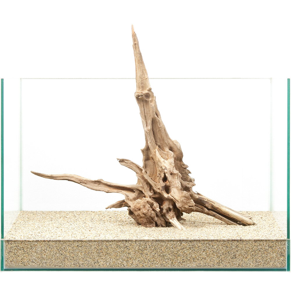 メーカー：レイアウト素材●この流木は【当店で煮込み済み】です。●半日〜1日煮込んでアク抜き作業および殺菌を施しておりますが、水槽投入後、流木自体の色素が出てしまう場合もございます。●流木からの色素は生体への影響がないとされておりますが、気になる場合は、活性炭等を使用して色味を除去するか換水を行ってください。選び抜かれた「ディアーホーンウッド」。この形状は世界に一つ。一点物　ディアーホーンウッド　45cm水槽用特長●数多の「ディアーホーンウッド」の中より厳選された、45cmクラスの水槽におすすめの選りすぐりの流木単体です。●掲載画像の形状の流木をお届けいたします。「これだ！」と思った流木をお選びください。●1個でも存在感は十分で、水槽内の上質な空間を演出します。●別売の他の流木や、石と組み合わせて用いても素敵なレイアウトを演出できます。●単体でも、他の素材と組み合わせても、レイアウトの幅は広がります。思い思いのオリジナルレイアウトをお楽しみください。数量1個サイズ（約）水槽サイズ：幅45×奥行30×高さ30cm ※流木を入れている水槽のサイズとなります。ご注意※撮影用の底床は田砂を使用しております。 ※お使いの底床によっては写真同様にセットできない場合があります。 ※場合によって流木、石を砂に埋めて立たせて撮影しています。 ※よく水洗いしてからご使用ください。 ※本品は煮出し済みですが、アクが出ないことを保証するものではありません。気になる場合は活性炭などを併用して、対処をお願いいたします。（水草）アヌビアスナナ（水上葉）（1ポット分）形状お任せ　煮込み済み　上質流木　雅〜みやび〜　Sサイズ（約15〜25cm）　3本　アクアリウム　レイアウト素材　流木形状お任せ　風山石　サイズミックス　3kg　国産品　30cm水槽向け　アクアリウム　レイアウト素材形状お任せ　風山石　Sサイズ（約8〜12cm）　3個　アクアリウム　レイアウト素材　お一人様10点限り … 流木／石　流木　45cm水槽用　流木・石　上質流木　ディアーホーンウッド　アクアリウム　一点物　1点物　レイアウト素材　アクアリウム用品　テラリウム　アクアテラリウム　パルダリウム　熱帯魚　水草　水草レイアウト　20260129　y26m01　q10_hidden■この商品をお買い上げのお客様は、下記商品もお買い上げです。※この商品には付属しません。■（水草）アヌビアスナナ（水上葉）（1ポット分）形状お任せ　煮込み済み　上質流木　雅〜みやび〜　Sサイズ（約15〜25cm）　3本　アクアリウム　レイアウト素材　流木形状お任せ　風山石　サイズミックス　3kg　国産品　30cm水槽向け　アクアリウム　レイアウト素材形状お任せ　風山石　Sサイズ（約8〜12cm）　3個　アクアリウム　レイアウト素材　お一人様10点限り