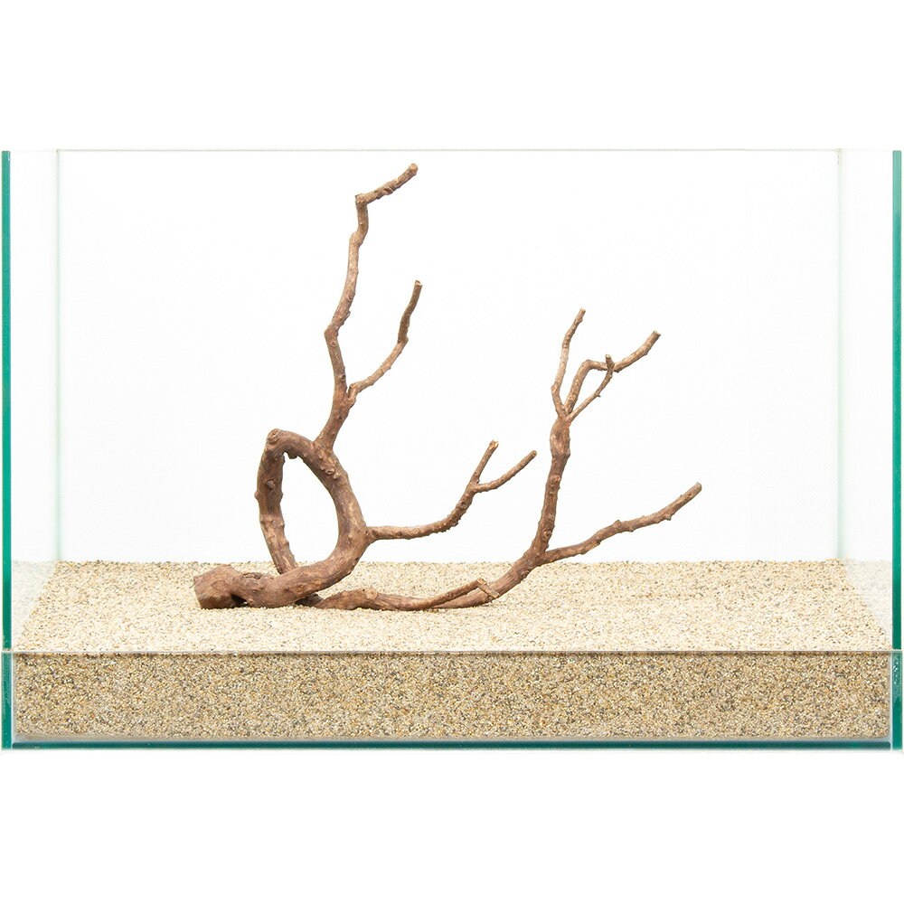 一点物 極上流木 45cm水槽用 880792 関東当日便