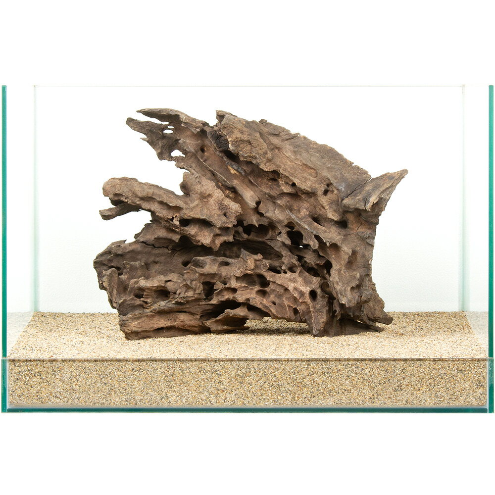 樂天商城 - 一点物　ハニカムウッド　45cm水槽用　880847　関東当日便