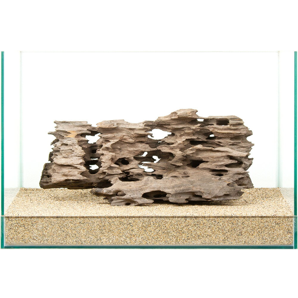 メーカー：レイアウト素材●この流木は【当店で煮込み済み】です。●半日〜1日煮込んでアク抜き作業および殺菌を施しておりますが、水槽投入後、流木自体の色素が出てしまう場合もございます。●流木からの色素は生体への影響がないとされておりますが、気になる場合は、活性炭等を使用して色味を除去するか換水を行ってください。選び抜かれた「ハニカムウッド」。この形状は世界に一つ。一点物　ハニカムウッド　45cm水槽用特長●数多の「ハニカムウッド」の中より厳選された、45cmクラス以上の水槽におすすめの選りすぐりの流木単体です。●掲載画像の形状の流木をお届けいたします。「これだ！」と思った流木をお選びください。●別売の同シリーズや他の流木、石と組み合わせて用いても素敵なレイアウトを演出できます。●アヌビアス、ミクロソリウムなどの活着性水草や、ウィローモスを巻き付ける活着用素材としても最適です。●単体でも、他の素材と組み合わせても、レイアウトの幅は広がります。思い思いのオリジナルレイアウトをお楽しみください。数量1個サイズ（約）水槽サイズ：幅45×奥行30×高さ30cm ※流木を入れている水槽のサイズとなります。ご注意※撮影用の底床は田砂を使用しております。※お使いの底床によっては写真同様にセットできない場合があります。※場合によって流木、石を砂に埋めて立たせて撮影しています。※よく水洗いしてからご使用ください。※本品は煮出し済みですが、アクが出ないことを保証するものではありません。気になる場合は活性炭などを併用して、対処をお願いいたします。※お届け時に多少の折れが見られる場合がございます。予めご了承ください。（水草）アヌビアスナナ（水上葉）（1ポット分）形状お任せ　煮込み済み　上質流木　雅〜みやび〜　Sサイズ（約15〜25cm）　3本　アクアリウム　レイアウト素材　流木形状お任せ　風山石　サイズミックス　3kg　国産品　30cm水槽向け　アクアリウム　レイアウト素材形状お任せ　風山石　Sサイズ（約8〜12cm）　3個　アクアリウム　レイアウト素材　お一人様10点限り … 流木／石　流木　45cm水槽用　ハニカムウッド　流木・石　アクアリウム　一点物　アクアリウム用品　レイアウト素材　1点物　1点物　熱帯魚　水草　水草レイアウト　テラリウム　アクアテラリウム　パルダリウム　コケテラリウム　y26m02　20260219　穴あき流木　q10_hidden■この商品をお買い上げのお客様は、下記商品もお買い上げです。※この商品には付属しません。■（水草）アヌビアスナナ（水上葉）（1ポット分）形状お任せ　煮込み済み　上質流木　雅〜みやび〜　Sサイズ（約15〜25cm）　3本　アクアリウム　レイアウト素材　流木形状お任せ　風山石　サイズミックス　3kg　国産品　30cm水槽向け　アクアリウム　レイアウト素材形状お任せ　風山石　Sサイズ（約8〜12cm）　3個　アクアリウム　レイアウト素材　お一人様10点限り