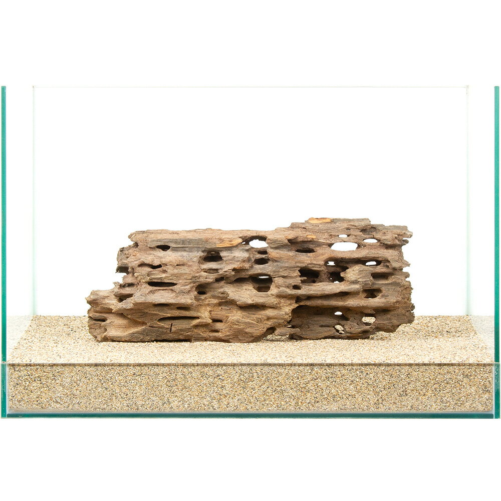 一点物 ハニカムウッド 45cm水槽用 880872 関東当日便