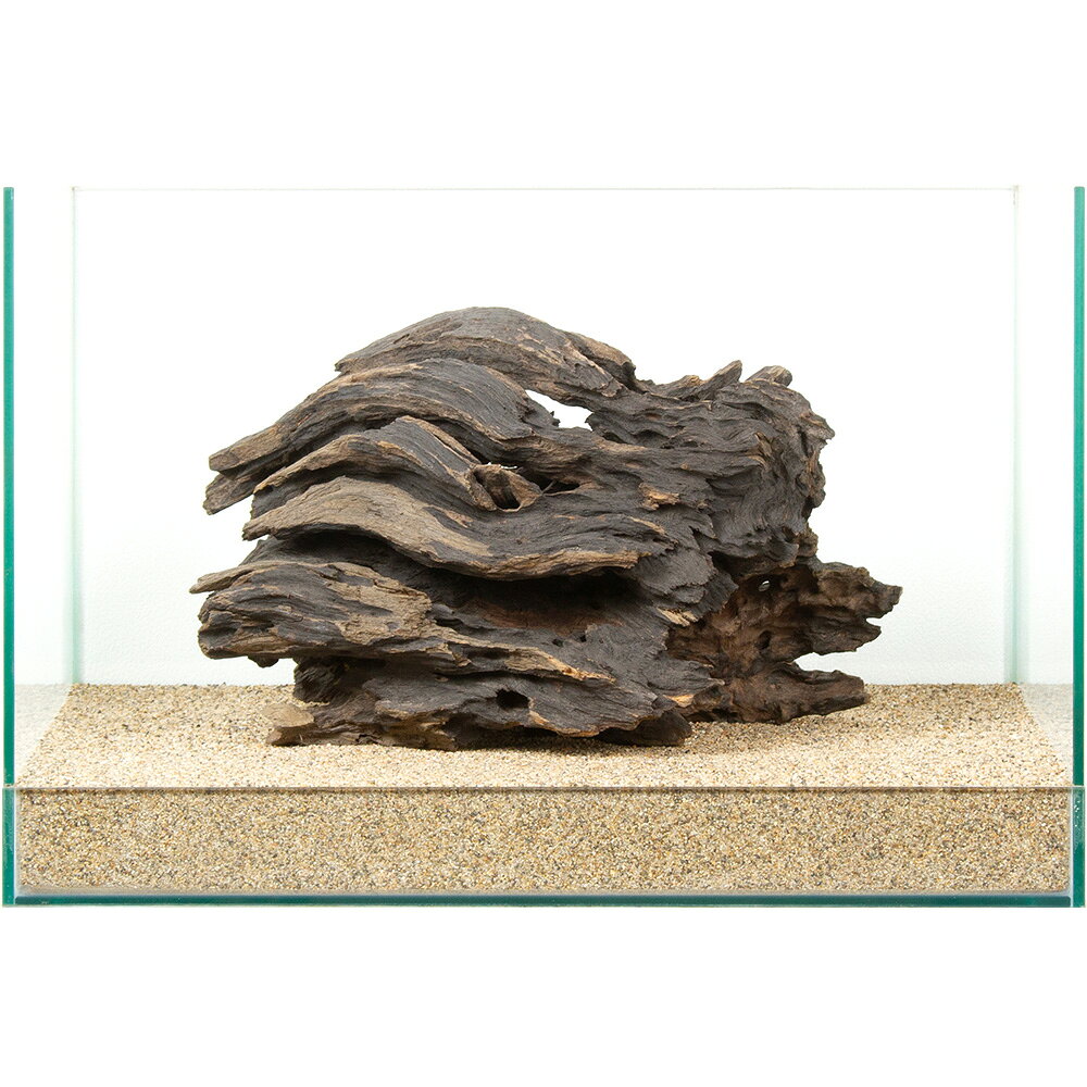 一点物 ハニカムウッド 45cm水槽用 880892 関東当日便