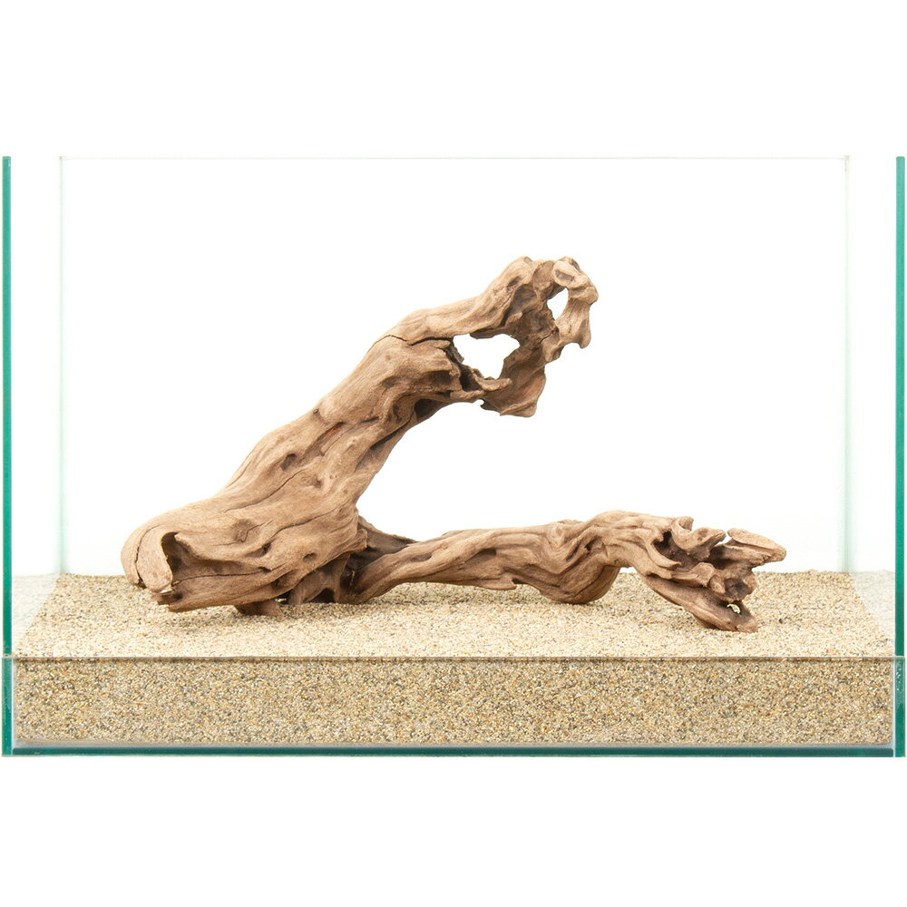 一点物 上質流木 雅 45cm水槽用 880935 関東当日便