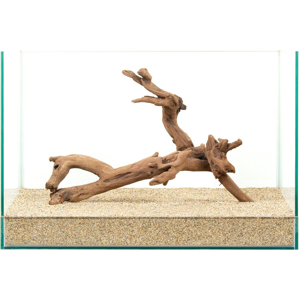 一点物　上質流木　雅　45cm水槽用　880945　関東当日便