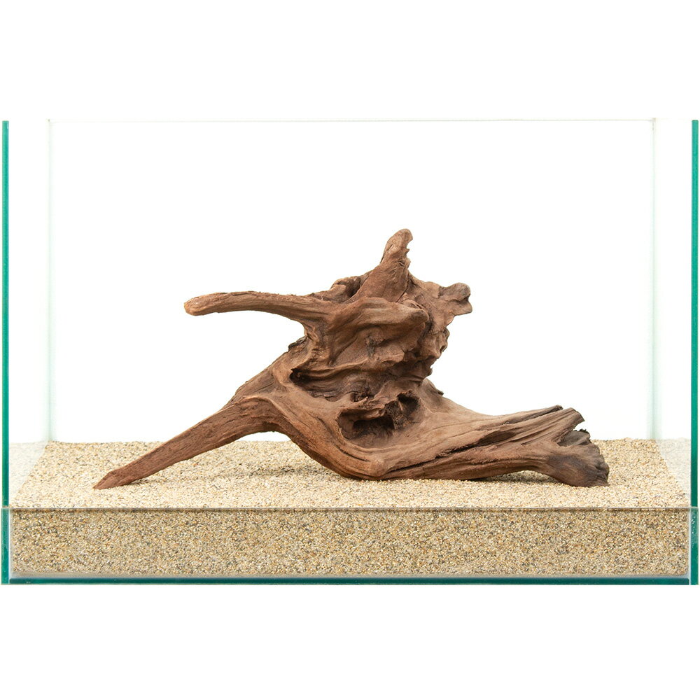 一点物　上質流木　雅　45cm水槽用　880949　関東当日便