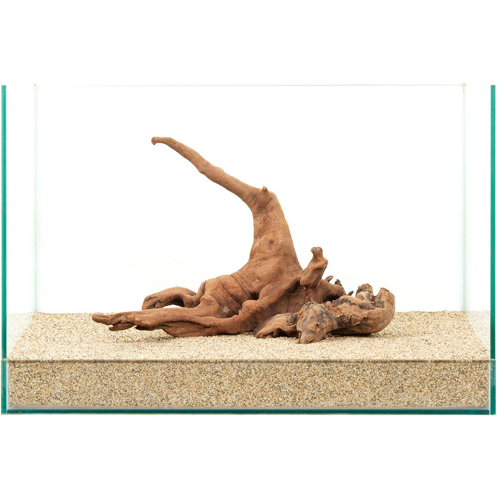 ����ʪ�����ή�ڡ�����45cm�����ѡ�880957������������