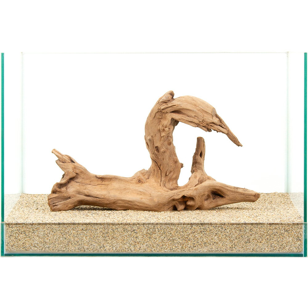 一点物 上質流木 雅 45cm水槽用 880958 関東当日便