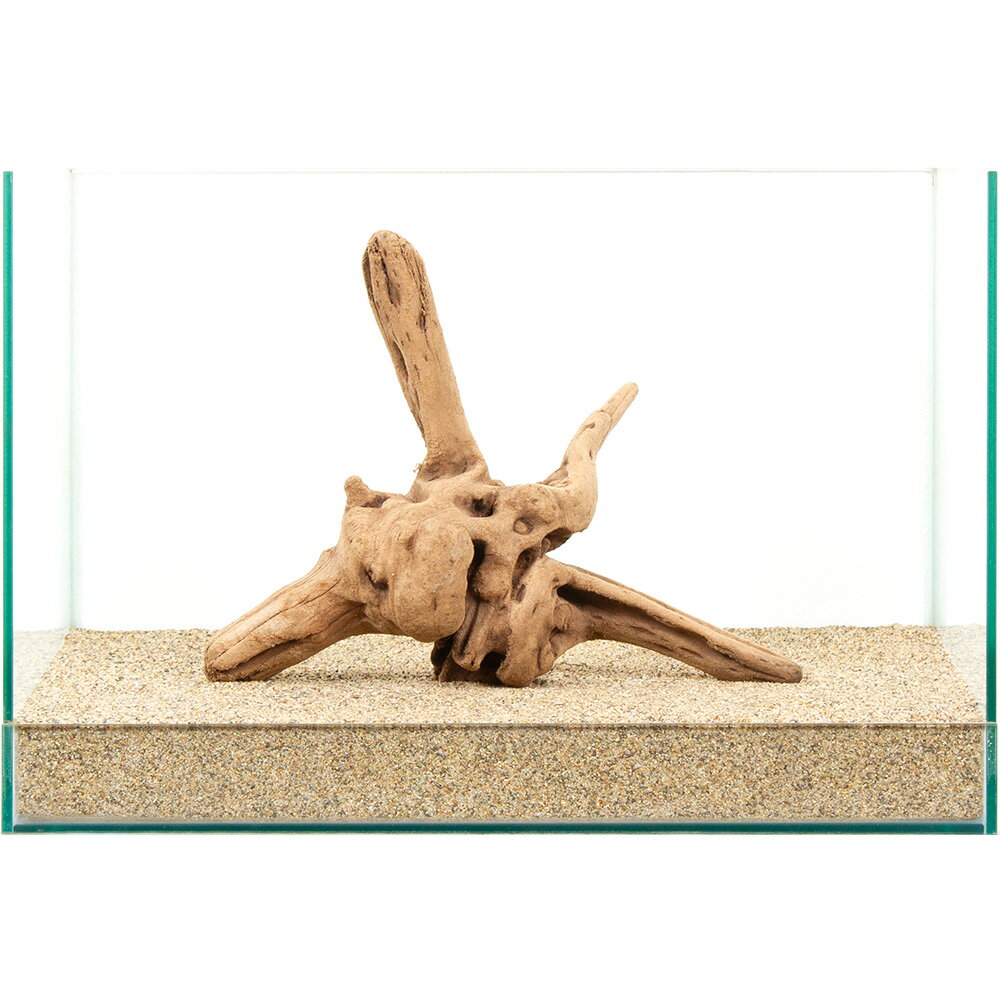 ����ʪ�����ή�ڡ�����45cm�����ѡ�880959������������