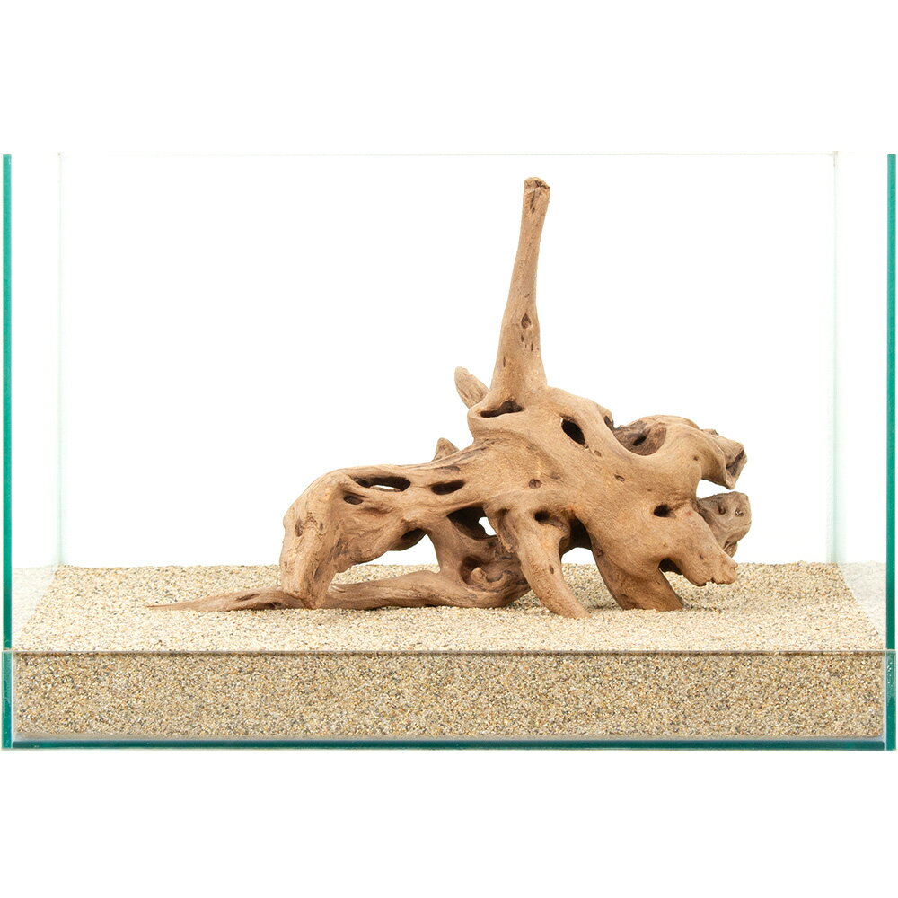 ����ʪ�����ή�ڡ�����45cm�����ѡ�880966������������