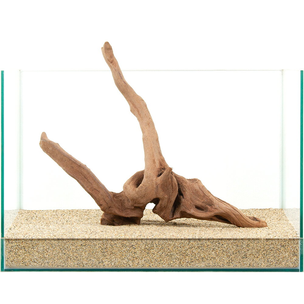 一点物 上質流木 雅 45cm水槽用 880980 関東当日便