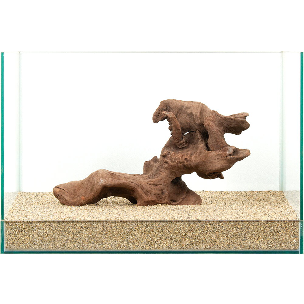 ����ʪ�����ή�ڡ�����45cm�����ѡ�881002������������