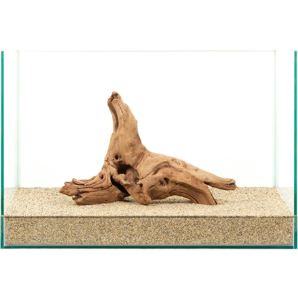 ����ʪ�����ή�ڡ�����45cm�����ѡ�881053������������