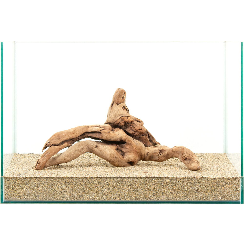 ����ʪ�����ή�ڡ�����45cm�����ѡ�881057������������
